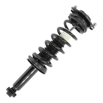Suspension Strut and Coil Spring Assembly