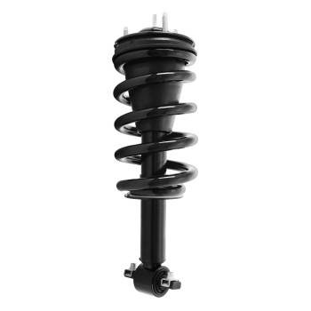 Suspension Strut and Coil Spring Assembly