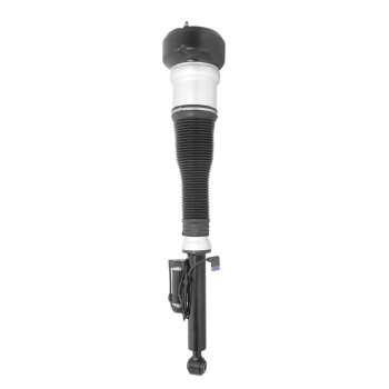 Air Suspension Strut
