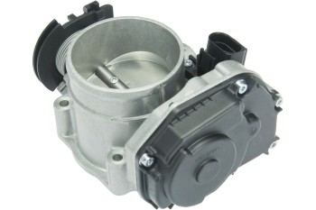 Fuel Injection Throttle Body