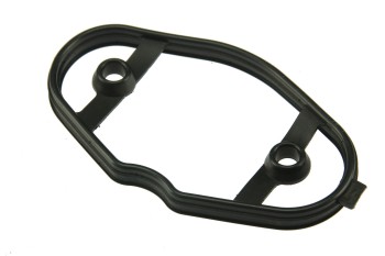 Fuel Pump Gasket