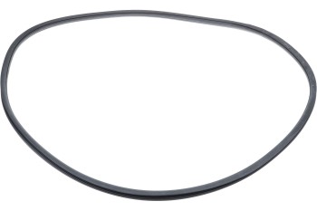 Windshield Seal