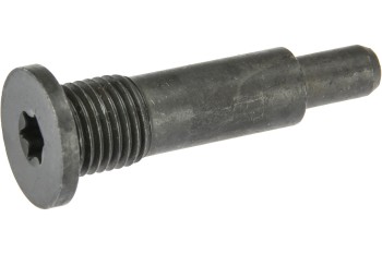 Engine Timing Chain Guide Bolt