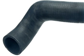 Radiator Coolant Hose