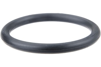 Engine Water Pump Housing O-Ring