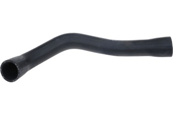 Radiator Coolant Hose