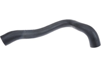 Radiator Coolant Hose
