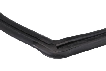 Windshield Seal