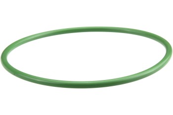 Fuel Pump and Level Sensor Module Seal