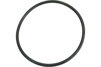 Fuel Pump O-Ring