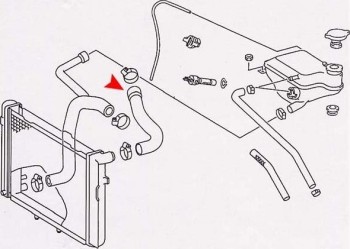 Radiator Coolant Hose