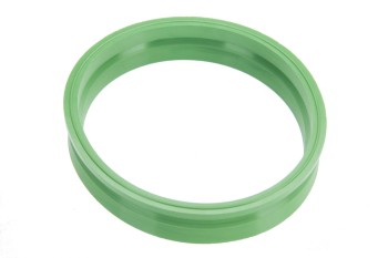 Fuel Pump Tank Seal