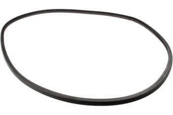 Windshield Seal