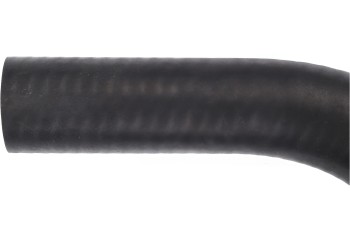 Engine Coolant Reservoir Hose