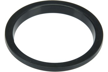 Fuel Pump Tank Seal