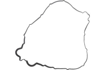Engine Valve Cover Gasket