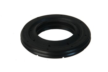 Engine Variable Valve Timing (VVT) Adjuster Seal