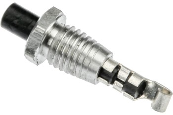 Interior Light Switch