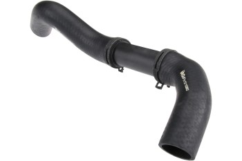 Radiator Coolant Hose