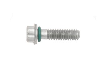 Engine Valve Cover Screw