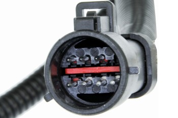 Fuel Pump and Sender Assembly