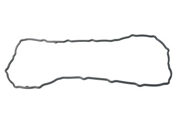 Engine Oil Pan Gasket