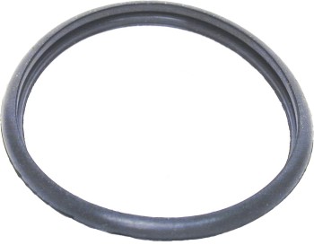 Engine Coolant Thermostat Seal