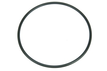 Fuel Pump Seal