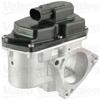 Exhaust Gas Recirculation (EGR) Valve
