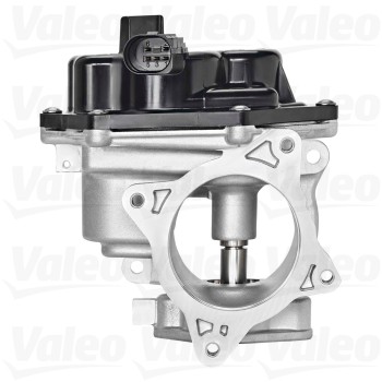 Exhaust Gas Recirculation (EGR) Valve