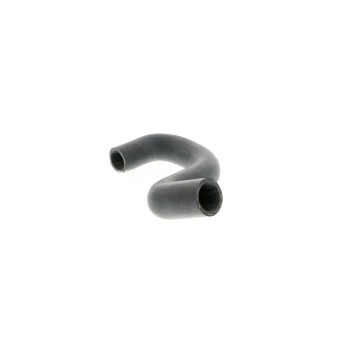Radiator Coolant Hose