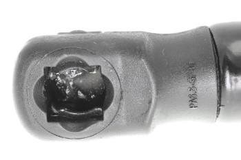 Tailgate Lift Support