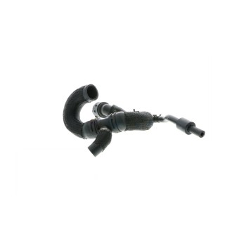 Coolant Hose