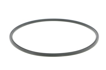 Fuel Pump Tank Seal