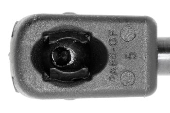 Tailgate Lift Support