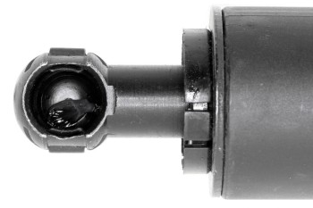 Tailgate Lift Support