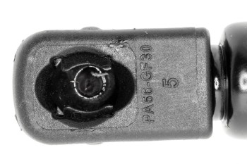 Tailgate Lift Support