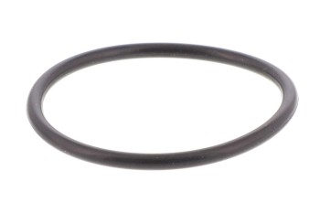 Transmission Filter Kit