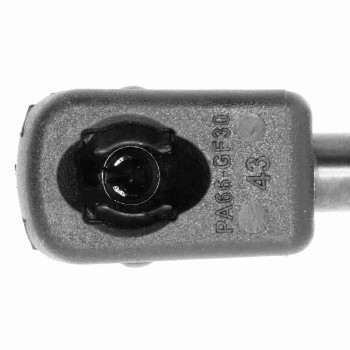 Tailgate Lift Support