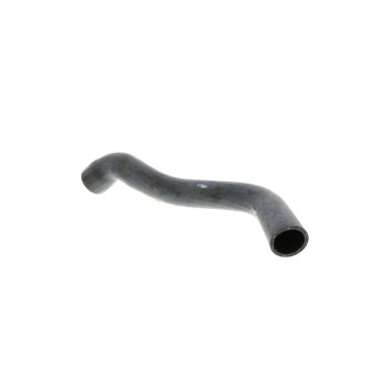 Radiator Coolant Hose