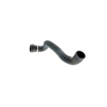 Radiator Coolant Hose
