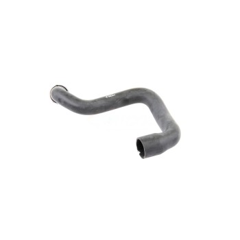 Radiator Coolant Hose