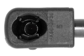 Tailgate Lift Support