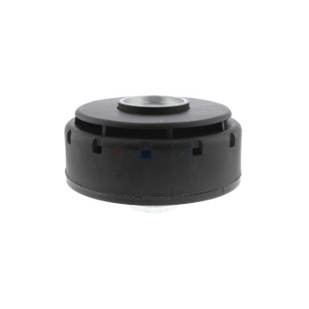 Engine Crankcase Vent Valve