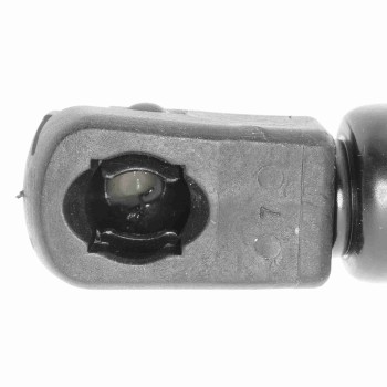 Tailgate Lift Support