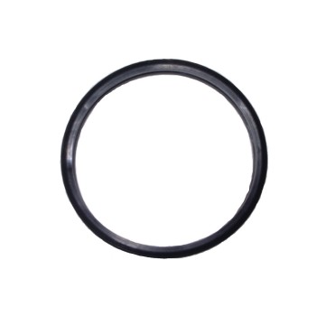 Engine Coolant Thermostat Seal