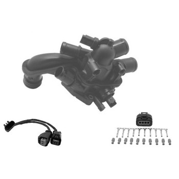 Engine Coolant Thermostat