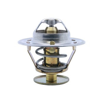 Engine Coolant Thermostat