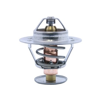 Engine Coolant Thermostat
