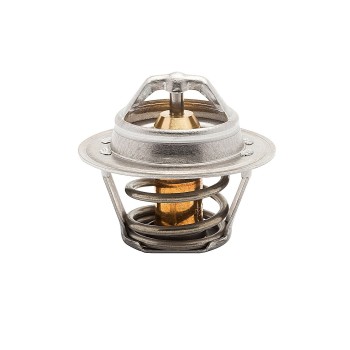 Engine Coolant Thermostat